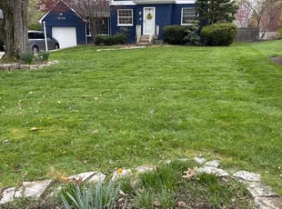 Calvin A.'s Lawn Care service result