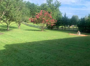 Hikmat Q.'s Lawn Care service result