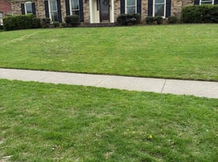 Robert W.'s Lawn Mowing Service service result