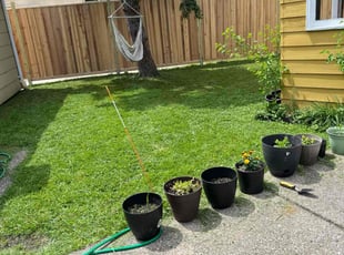 Angie B.'s Lawn Mowing service result