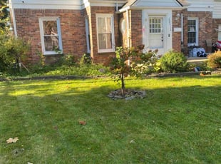 Anastasia D.'s Lawn Care service result