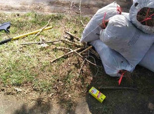 Leaf Removal by Larry Watson for Matthew L. in Norfolk, VA