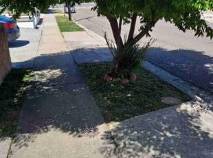 Bunny W.'s Lawn Care service result