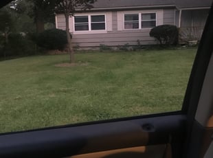 Bush Trimming by Jason Russell for Shenee P. in Kansas City, MO