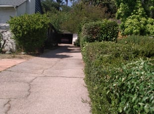 Bush Trimming by John Hurtado for John B. in Pasadena, CA