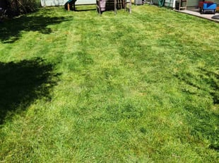 Randy D.'s Lawn Maintenance service result