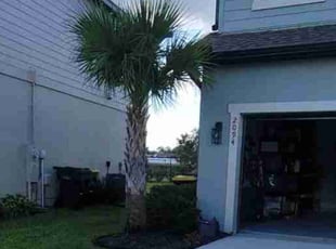 Bush Trimming by Carlos Martinez for Aaron S. in CHAMPIONS GT, FL