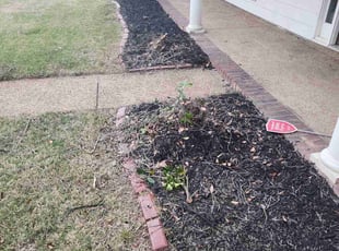 Bush Trimming by James Crunk for Jimmy B. in Arlington, TN
