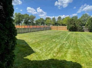 Sally M.'s Lawn Mowing service result
