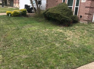 Cleanups by Juan Uribe for William V. in DeSoto, TX