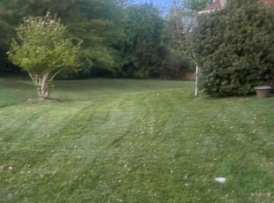 Frank S.'s Lawn Care service result