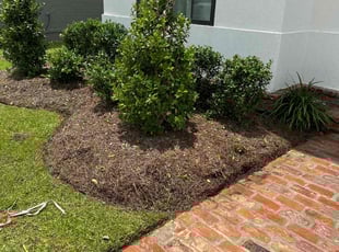 Weeding by Marcus Simon for Jerica M. in Baton Rouge, LA