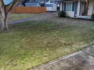 Cleanups by Cody Jackson for Maggie R. in Tacoma, WA