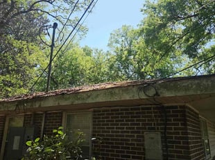 Bush Trimming by Edgar Rangel for Beverly B. in Montgomery, AL
