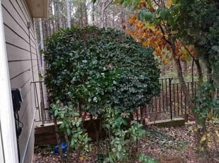 Bush Trimming by Enrique Juarez for Ferline E. in Canton, GA