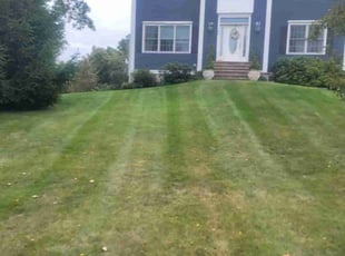 Michael L.'s Lawn Service service result