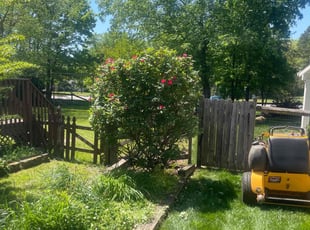 Bush Trimming by Ronald Martin for Jon G. in Charlotte, NC