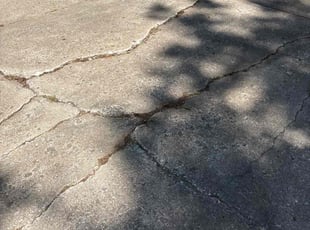 Lanessa L.'s Cleanups service result