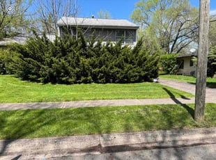 Sadies M.'s Lawn Service service result