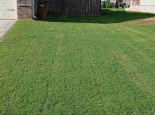 Brenda F.'s Lawn Service service result