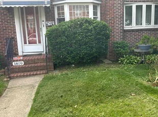 Bush Trimming by Susy Mia Nieto for Denise C. in Wilmington, DE