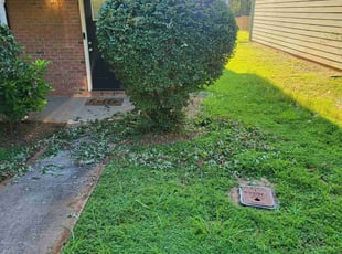 Hendrea G.'s Bush Trimming service result