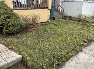 Leaf Removal by Emmanuel Quinones Delgado for Cindy E. in Rochester, NY