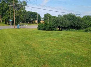 Sonia W.'s Lawn Service service result