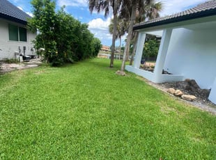 Valerie C.'s Grass Cutting service result