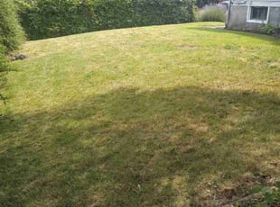 Sherry K.'s Lawn Mowing Service service result