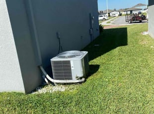 Albert M.'s Lawn Mowing Service service result