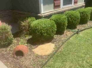 Bush Trimming by Michael Boomershine for Rhea A. in Owasso, OK