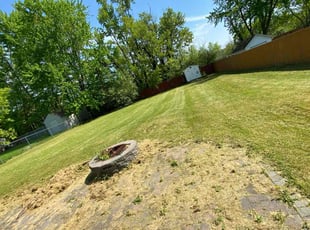 Vickie S.'s Lawn Service service result