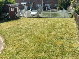 Louis M.'s Lawn Mowing service result