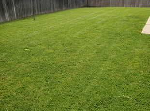 Aaron H.'s Lawn Care service result