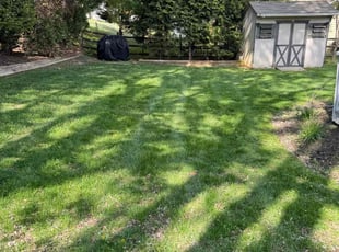 Sharon P.'s Lawn Service service result