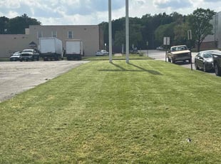 Barbara R.'s Lawn Mowing service result
