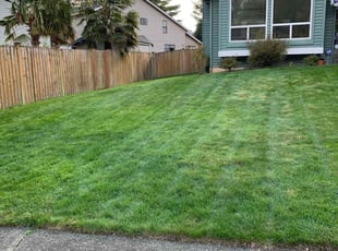 Stephanie G.'s Lawn Maintenance service result