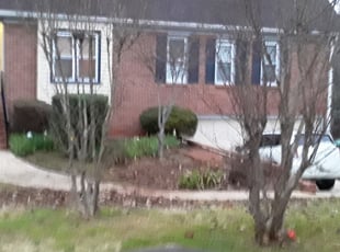 Bush Trimming by Prince Davis for Tocarra L. in Stone Mountain, GA