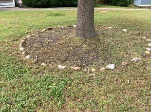 Weeding by Carl Hunt for Carol J. in Douglasville, GA