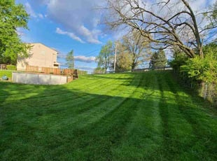 Angela m.'s Lawn Maintenance service result
