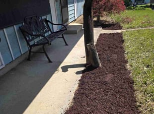 Jonathan D.'s Bush Trimming service result