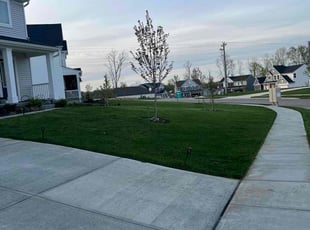 Mozelle W.'s Lawn Mowing service result