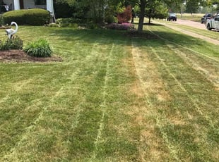 Landscaping by Jay Baker for Brenda P. in Lorain, OH