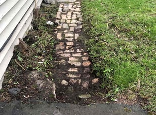 Weeding by Allison Conley for Kimberly P. in Pittston, PA