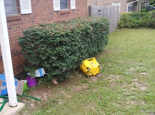 Bush Trimming by Jeffrey Gaines for Mia F. in Tallahassee, FL