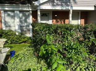 Bush Trimming by Leonardo Feliciano for Ryan R. in Powell, OH