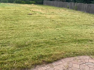 Chris G.'s Grass Cutting service result