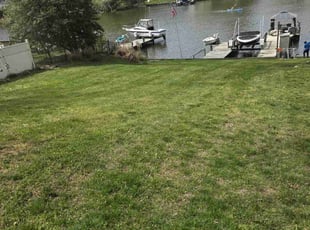 Jacqueline B.'s Lawn Care service result