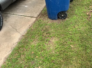 Leaf Removal by Jose Vasquez for Momin A. in Austin, TX